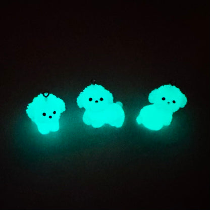 Glow Bichon Puppy