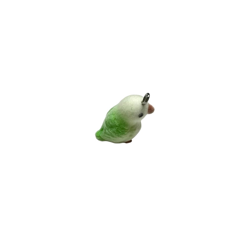 Fuzzy Parakeets