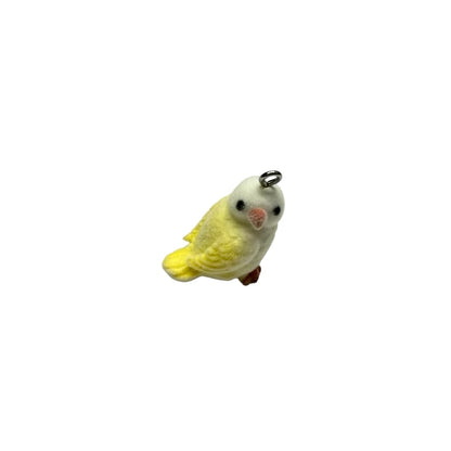 Fuzzy Parakeets